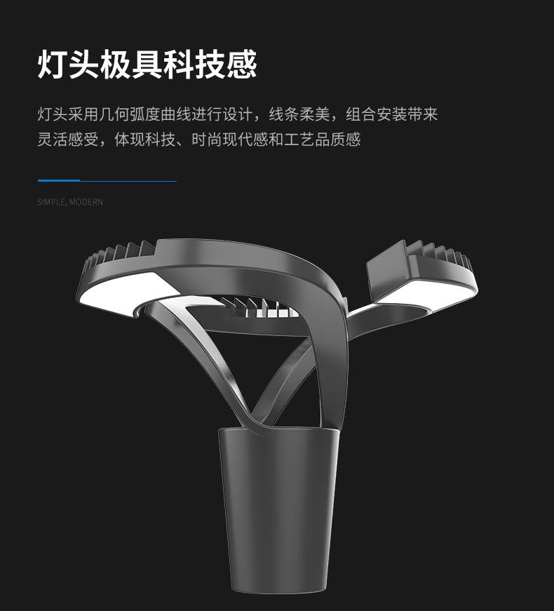 骧龙系列-新能源智慧庭院灯_03.jpg