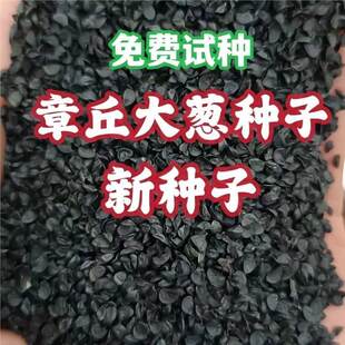 ɽ�|������[�N�Ӹ߮a�ͺ��F�U���߲����ӷN���ļ��������[�N��