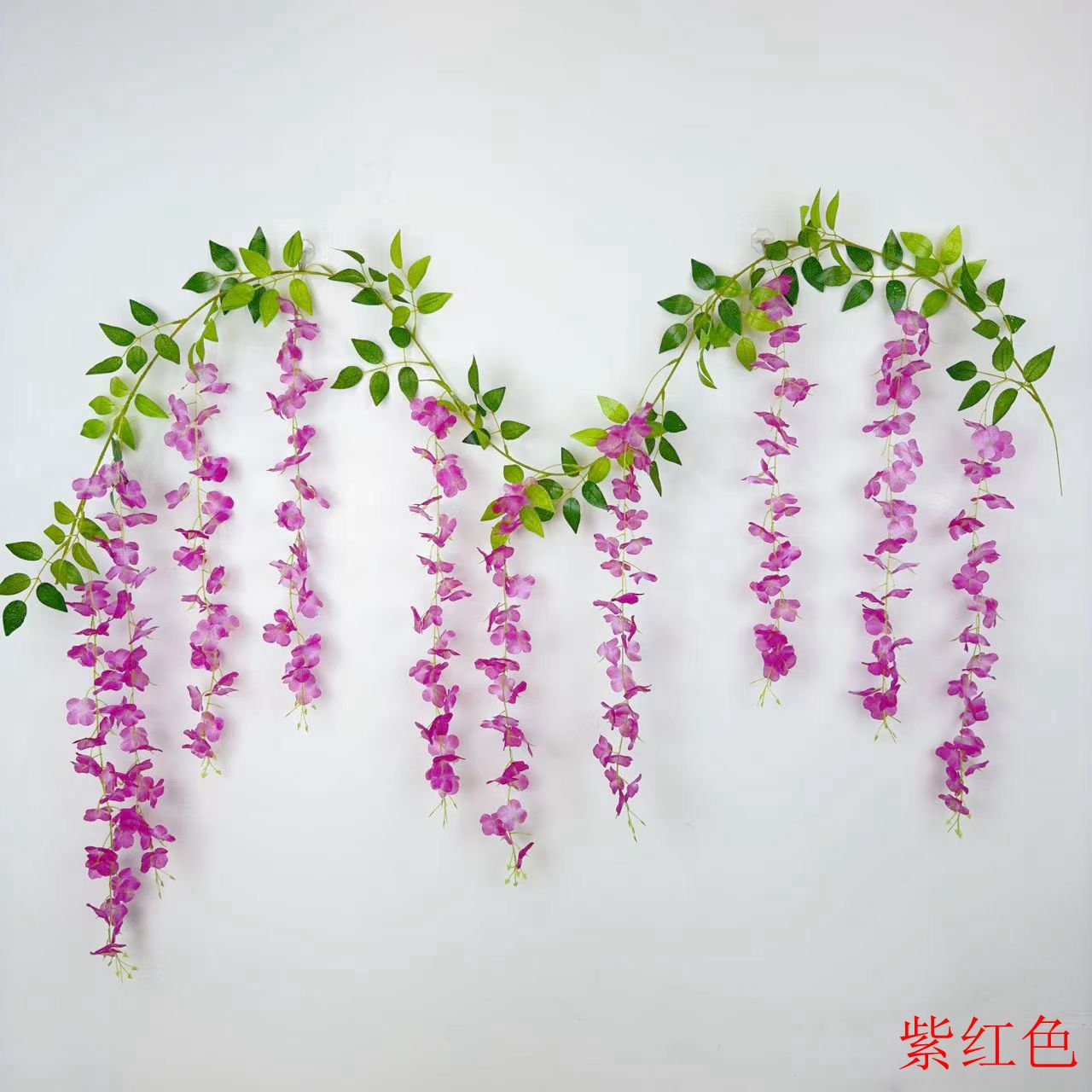 자홍색