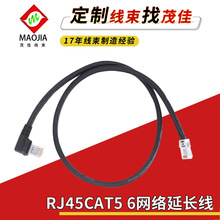 RJ45cat5 6WjL8P8CQC·DRS232W