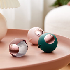 Self-designed luxury portable lint remover, cross-border lint brush, washable dust-proof lint remover with cover