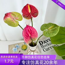 �¿������������t�ƬF���b���L��ٻ������b�DIY�ֹ��������l