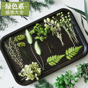�Gɫ������ֲ���ȫ�ɻ�DIY���Ͻ���ǧ�ӽ��ָdiy�ֹ����ֶY�b�