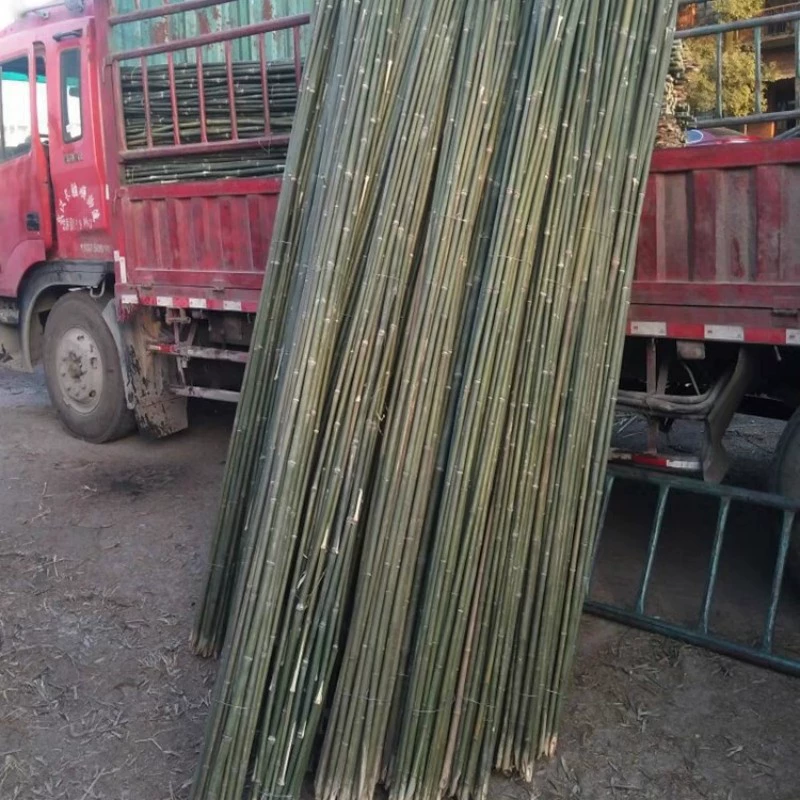Бамбуковый столб для огорода, овощной огурец, томатный бобовый столб, бамбуковый забор, небольшой бамбуковый столб, бамбуковый столб