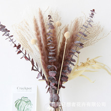 ���������߹�����С�~�JȔ�����߼���¡�ظɻ������Ҿ��b�