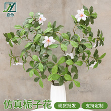 ���控���d���~��֦�Ҿ��bGֲ��ɭϵ����ܛ�bֲ���ָл������l