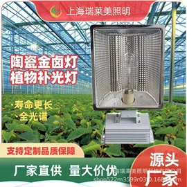 金卤灯;LED集鱼灯;钠灯