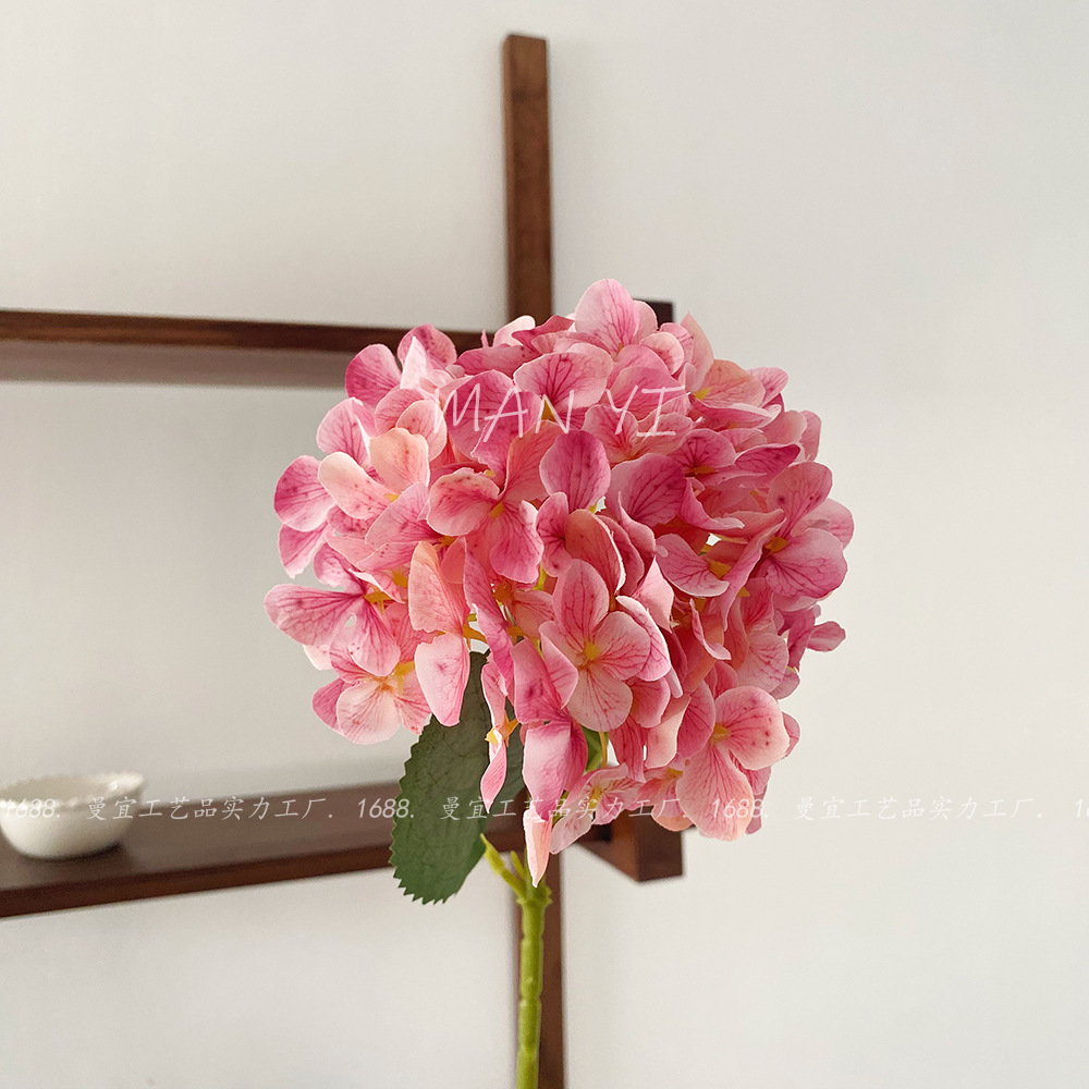 Hortensia de madera de jardín rosa