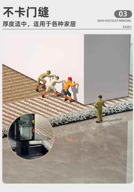 Silk Loop Entrance Door Mat for the Main Entrance, Dirt-Resistant, Dust-Removing, Non-Slip Household Mat, Hallway Mat