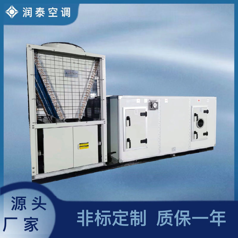 Large-Scale Factory Constant Temperature and Humidity Air Conditioning Wheel Dehumidification Combined Purification Unit Heat Pump Integrated Non-Standard Equipment Large-Scale Factory Constant Temperature and Humidity Air Conditioning Wheel Dehumidification Combined Purification Unit Heat Pump Integrated Non-Standard Equipment