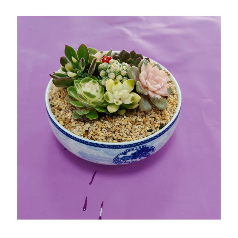 �������ר��4-6mm��ɫˮϴʯ����ʯ&mdash;&mdash;�Ƶ����͸ˮ��ƺ����԰