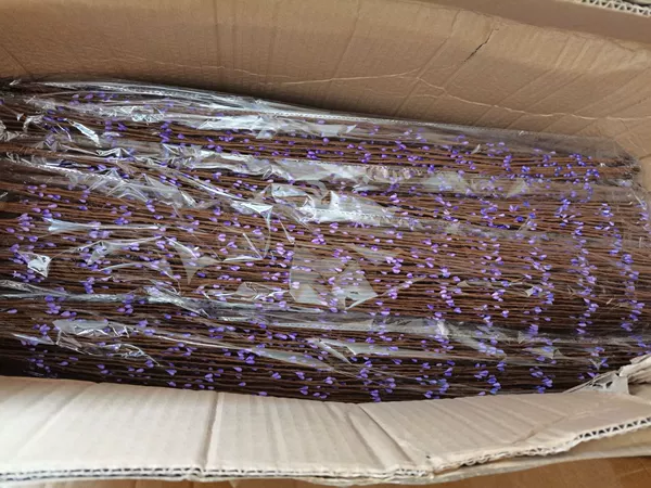 Purple (the price of 100 packets of the price)