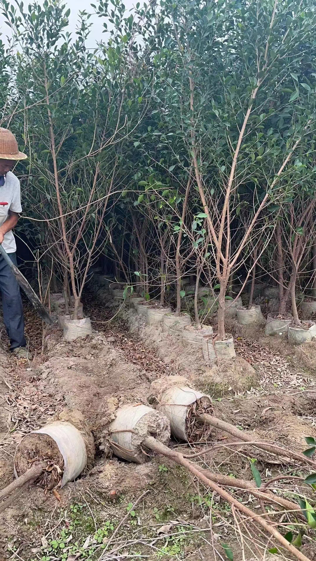 微信图片_202302232037054