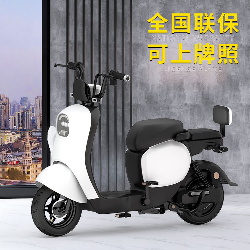 23 nuevo coche eléctrico estándar nacional hombres y mujeres tortuga motocicleta eléctrica de litio antirrobo doble Xingyue bicicleta eléctrica al por mayor