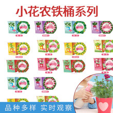 С���r�¿��FͰ���ⱡ��DIY���ԶY���ݮֲ���׃��@���շNֲ��Ʒ