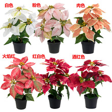 ���滨�}�Q�����Կ͏d�҃�����ە��}�Q�����b�һƷ�t�������컨