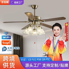 风扇灯;吸顶灯;成套灯具