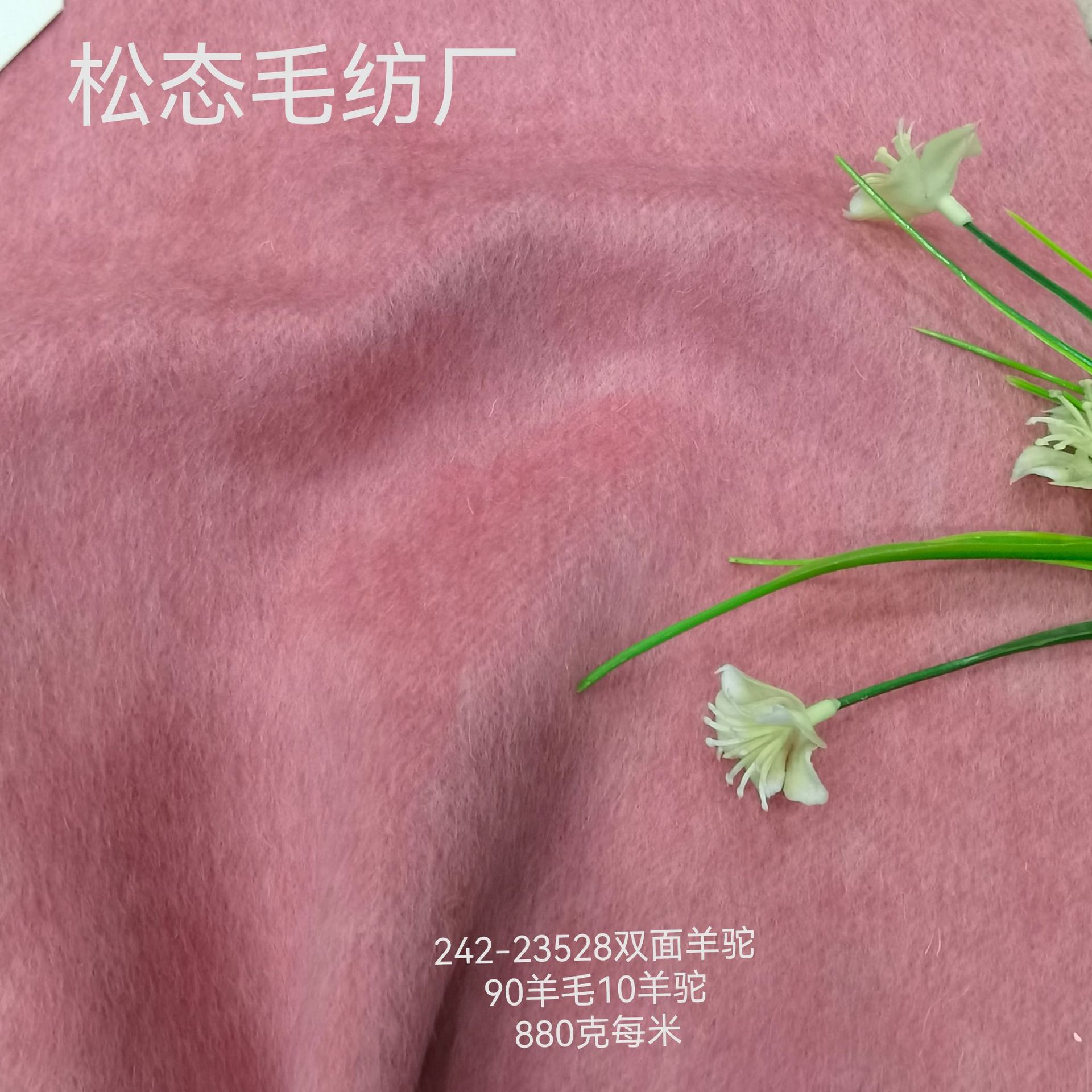 IMG_20250126_123042_edit_51886