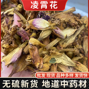 ��������ș���`�����ɻ�����צ����ˮɏ����R���}��