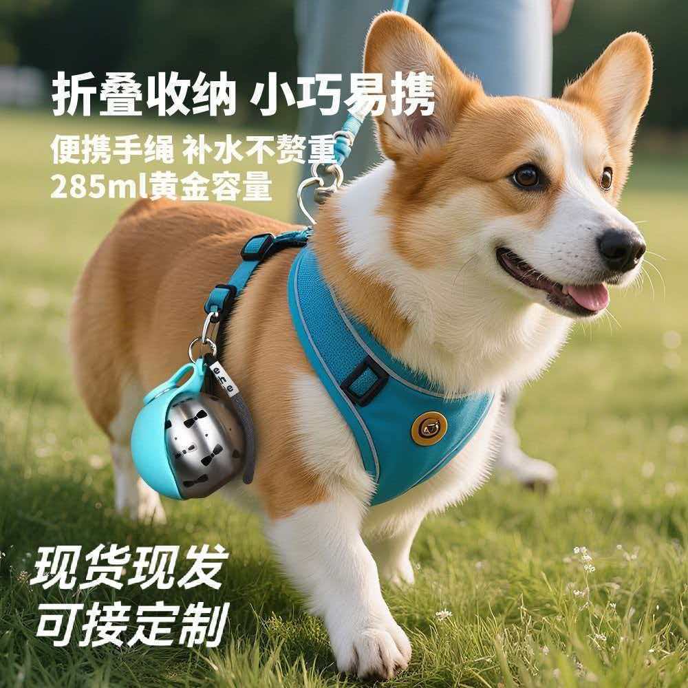 Productos para mascotas nuevos 304 acero inoxidable para perros fuera de la taza de agua portátil para bebidas de agua para mascotas pasear al aire libre