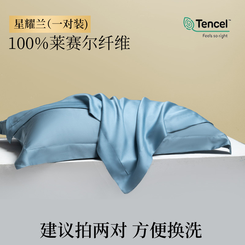 Funda de almohada de verano Tensi Funda de almohada de seda Un par de fundas de almohada de seda de hielo 48cmx74cm2024 Nuevo 2