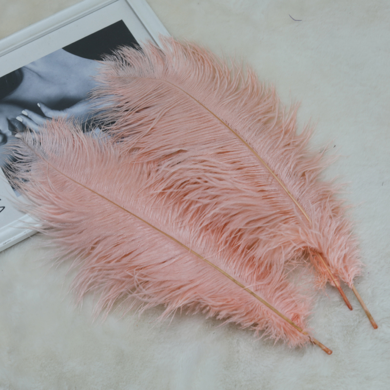 Plumas de avestruz bodas blancas de avestruz guía de plumas accesorios de fotos adornos rojo rosado en línea grandes plumas decoración