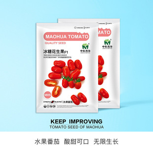 �п�ï�A�߲˷N�ӱ��ǻ��������ҷ��ѷN���}Ů��С���t���̨����