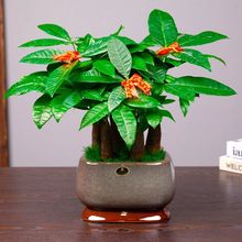 �lؔ���҃ȾGֲ���Դ���k��������͏d�[�Ż��辰���B����ֲ��