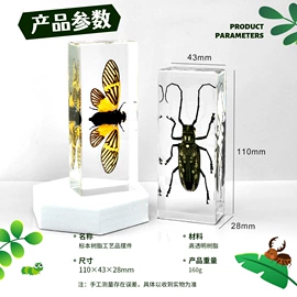 树脂工艺品;标本;工艺礼品项目