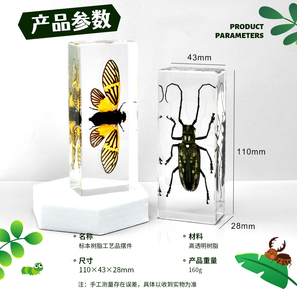 5# Dashuzhen Real Insect Specimens Cross-border Museum Study Tour Creative Gift Acrylic Transparent Resin Epoxy