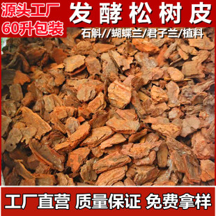 �l���ɘ�Ƥ���[60������b�m������ʯ���Nֲ���ЙC�I�B���S�����l
