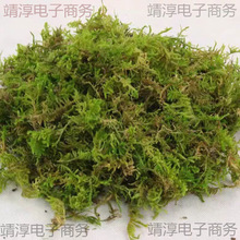 ̦�\���I�B��������m�m���Nֲʯ������ˮ̦����̦�m�����������