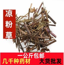 凉粉草中药材新货 仙人草 仙草 凉粉草 凉茶烧仙草原料 新鲜草干