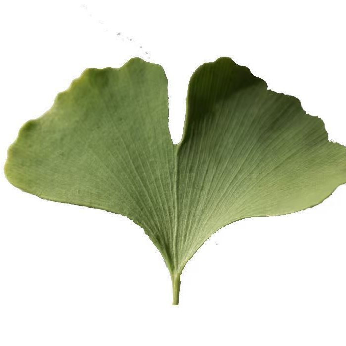 运费链接哦亲 请拍这个正常发货有问题请联系