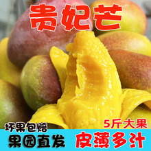 【活动】海南贵妃芒 代发5斤大果礼盒新鲜当季热带水果非甜心芒