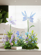 �ٻ����[�O�����b����Gֲ��ˇ�҃Ⱦ��^���û���ֲ���쾰