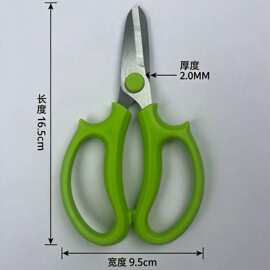工厂直销园艺花枝剪圆头设计不锈钢材质PP手柄刀刃锋利花店剪盆栽
