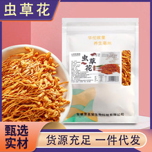 虫草花干货批发正品蛹虫草袋装长白山金虫草煲汤材料从草花菌代发