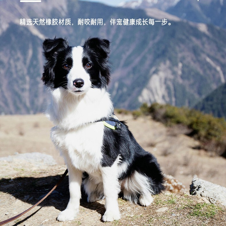 噛みつきにくい中型犬と大型犬用の在庫犬の歯が生えるおもちゃ、模擬ナイロンクロスボーダーペットの自己楽しみおもちゃ|undefined