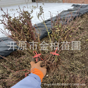 �ͺ��ذ��S��õ���煲���t�S��õ��վG����ľ���Ա������l