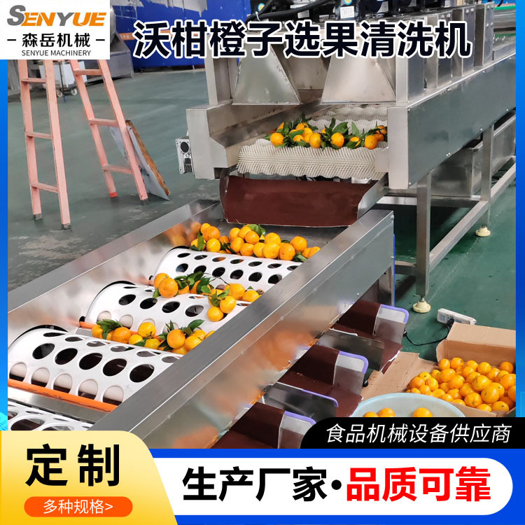 沃柑分选清洗机苹果全自动洗果机保鲜机分级机桃子清洗机选果机器