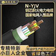 |~о|N-YJVͻ0.6/1KVľ3+1 3+2 4+1оͻ|