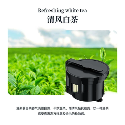 Perfume with Voice-Activated Starlight, Automatic | Car Perfume Aromatherapy - p56-qingfeng-white-teasupplementary-cigarette