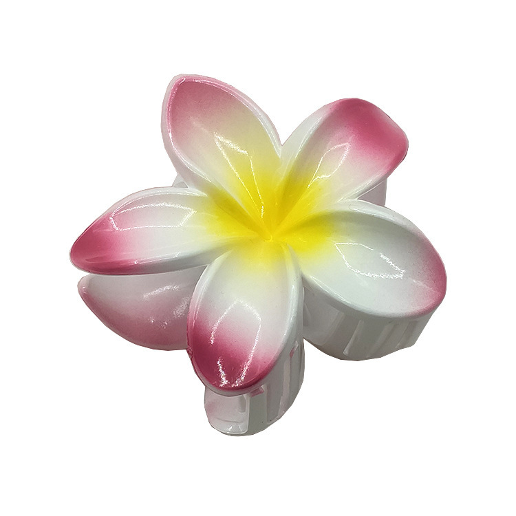 国境を越えたアマゾンの卵の花がグラデーションの花のキャンディー色の紫荊花の後頭部をつかんでサメの花を挟んで髪を伸ばします。|undefined
