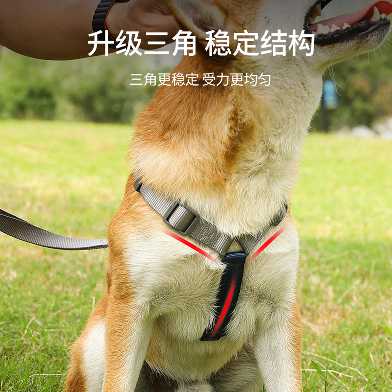 Correa para perro correa para mascotas en forma de I anti-rotura correa para el pecho del perro pequeño mediano y grande cuerda para caminar a prueba de explosiones cadena para perros