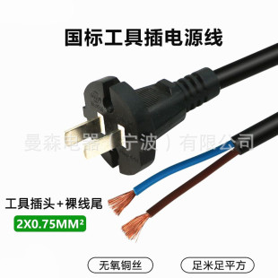 國標純銅2芯二插電源線帶插頭家用電器電動工具維修電工插電源線