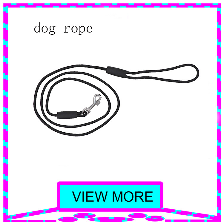 简易狗绳子