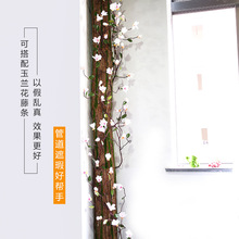 �ܵ��b���ˮ�ܵ���Ƥ�҃Ȱ���������ů�⠝���ړ�����ֲ��