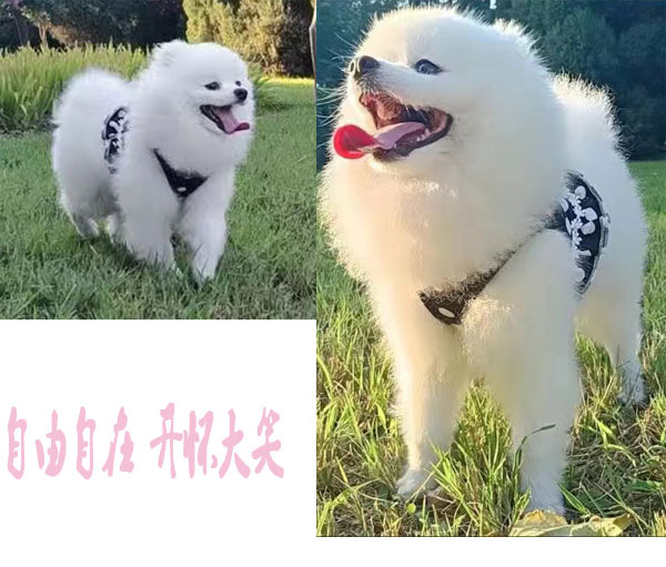 1716002441.png