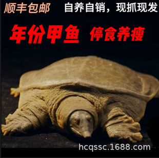 �����������~�괨���~�Bֳ���جFץ�F�l�I�B���aʳ�õ�ˮ���w